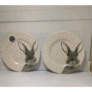 NWOT Set Of 2 Royal Stafford Pink Chintz Bunny Rabbit Salad Lunch Plates 8.5"